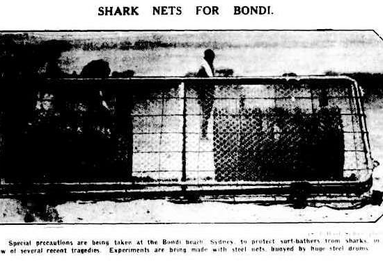 Prototipo de "Shark nets"